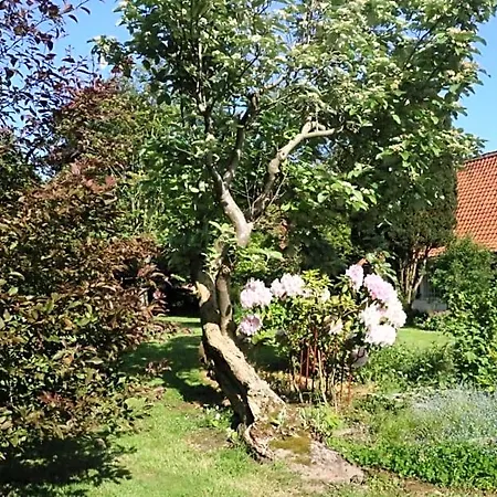 Bed & Breakfast Le Collet