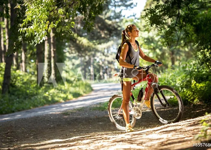 Le Collet Couette-café 3*